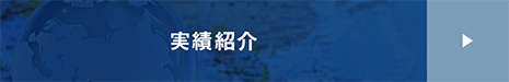 実績紹介